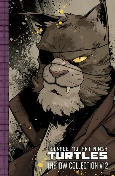 دانلود کمیک Teenage Mutant Ninja Turtles – The IDW Collection Vol. 12 (2021)