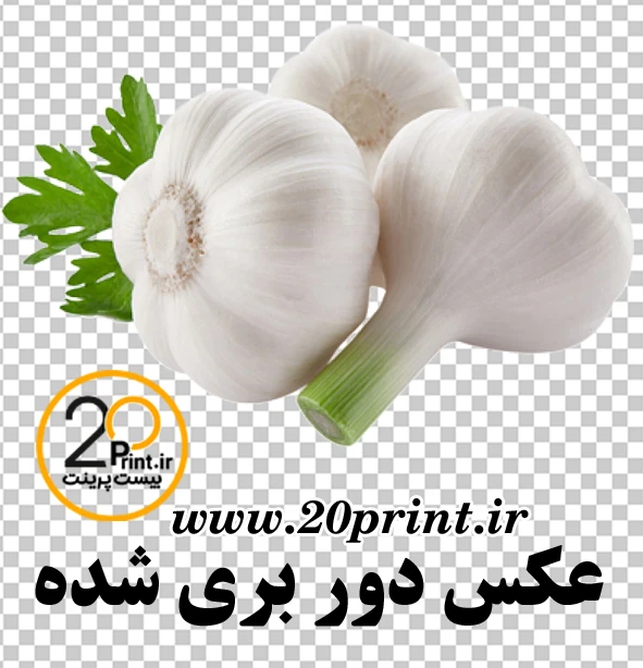 دانلودعکس سیرpng رایگان