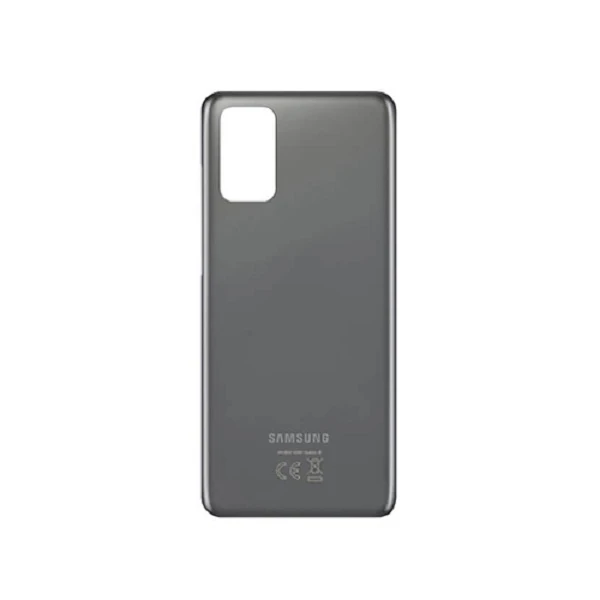 درب پشت سامسونگ Samsung Galaxy S10 Plus / G973