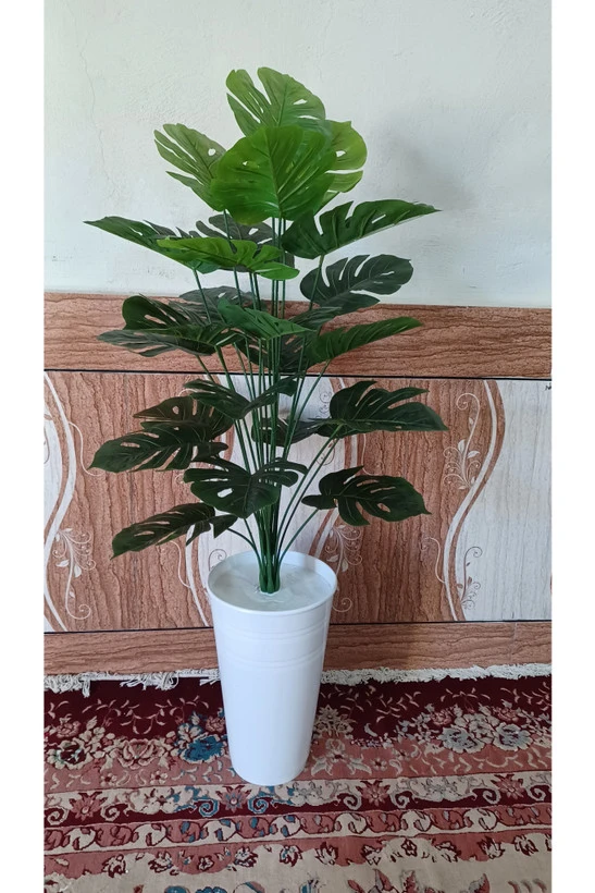 درختچه برگ انجیری ۲۴ برگ