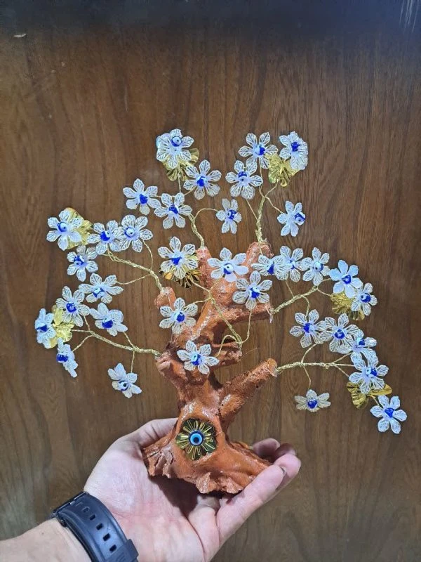 درختچه چشم نظر – جذابیت بصری، انرژی مثبت و محافظت در برابر حسادت