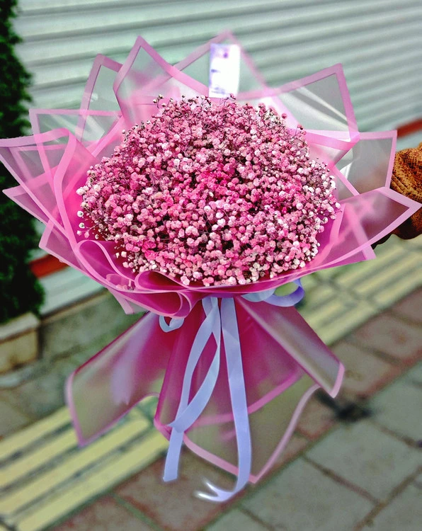 دسته گل عروس (ژیپس)
