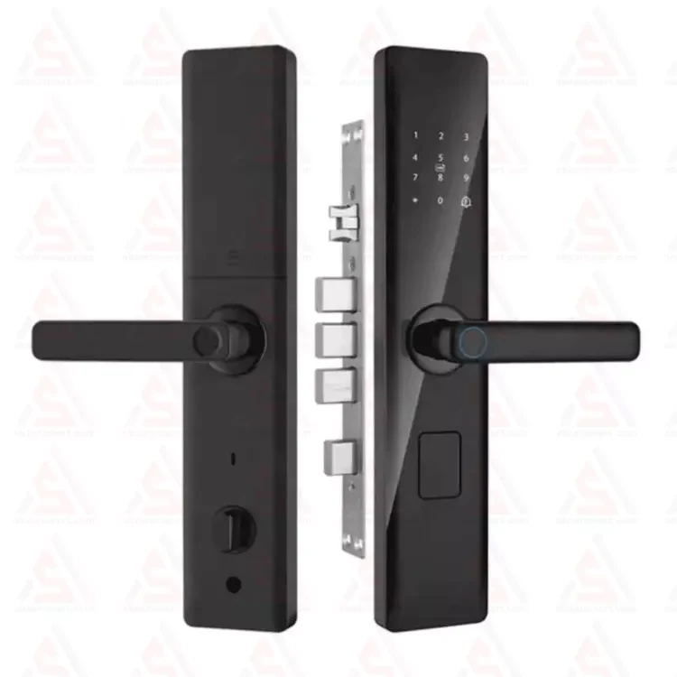 فلاشر آریاک مدل AVL-24