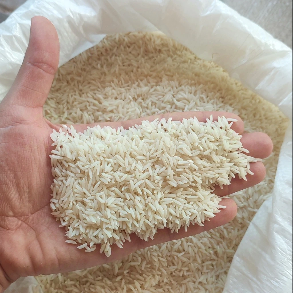 دمسیاه استخوانی آستانه اشرفیه(20کیلویی)