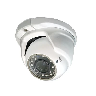 دوربین دام 2 مگاپیکسلی زنیگ (Zenig) مدل 45DMF33