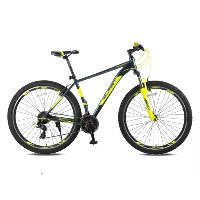 دوچرخه بلست مدل MOMENTUM 29″ V-24SP دلفینی