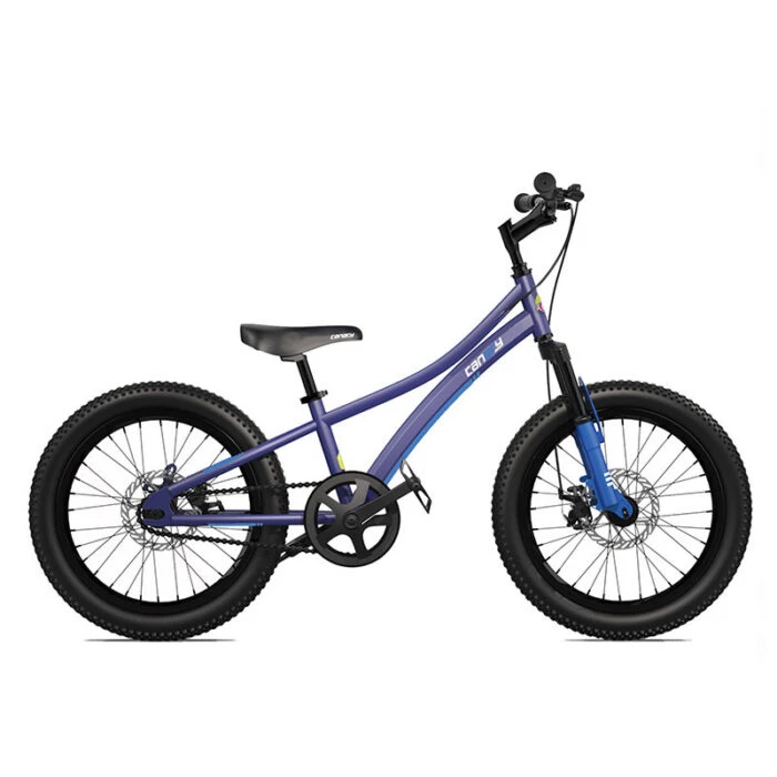 دوچرخه قناری مدل Explorer 20″ 2020 طرح آبی