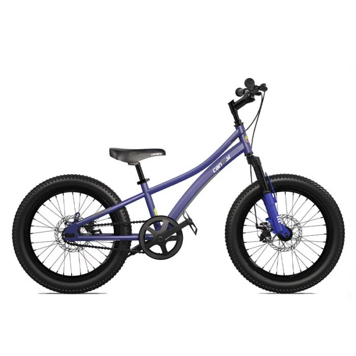 دوچرخه قناری مدل Explorer 20″ 2020 طرح خاکستری