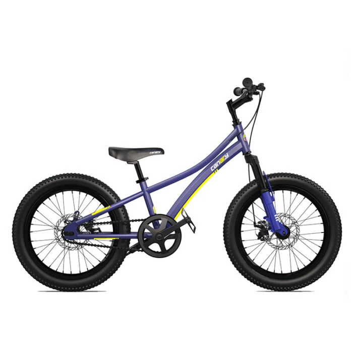 دوچرخه قناری مدل Explorer 20″ 2020 طرح زرد