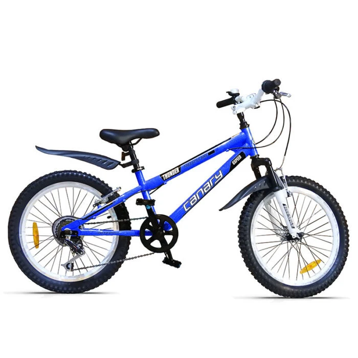 دوچرخه قناری مدل Freestyle-Thunder 20″ 2020 آبی