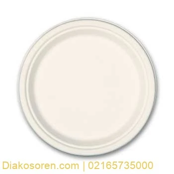 دیس یکبار مصرف سوگاس مدل 12 اینچ