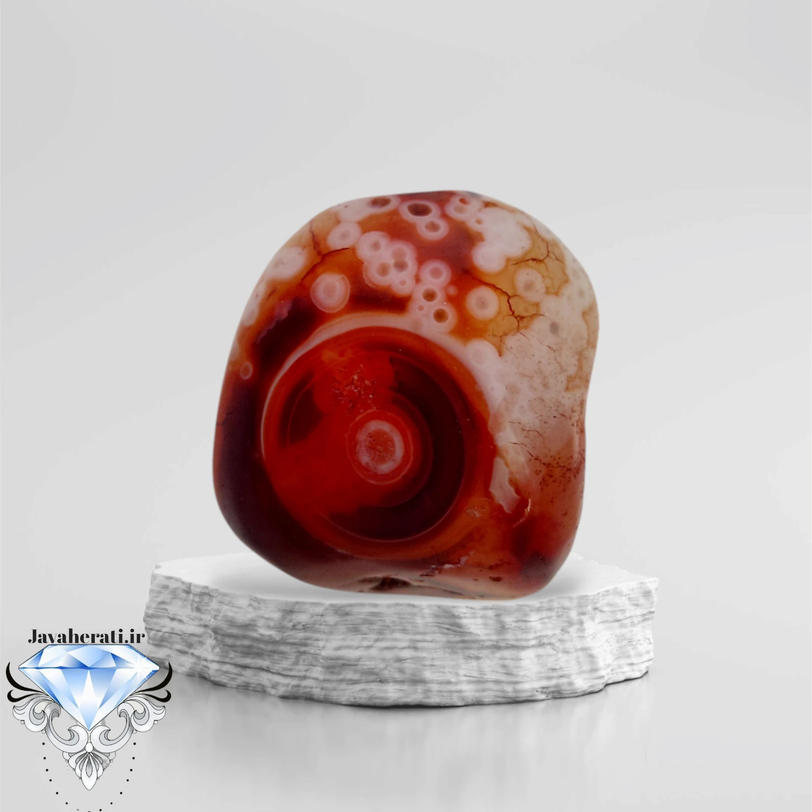 راف عقیق باباقوری سرخ چشم گاوی کلکسیونی