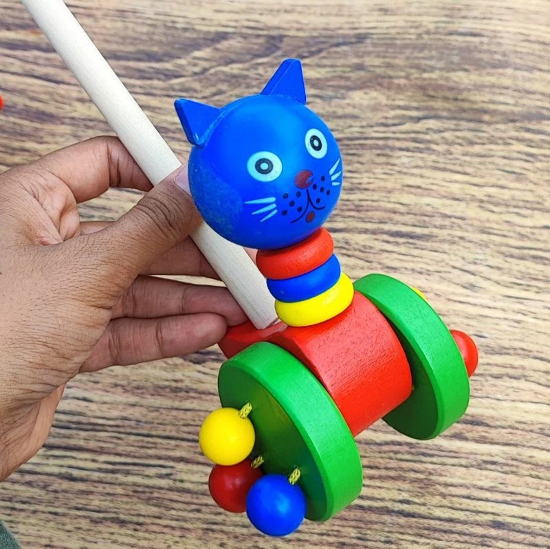 راهبر چوبی گربه آبی