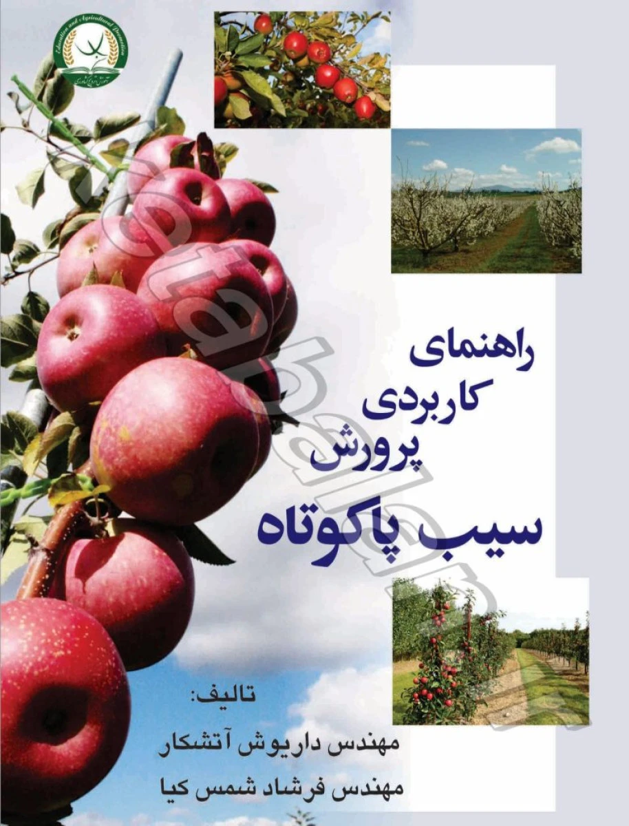 راهنمای کاربردی پرورش سیب پاکوتاه / داریوش آتشکار / فرشاد شمس کیا