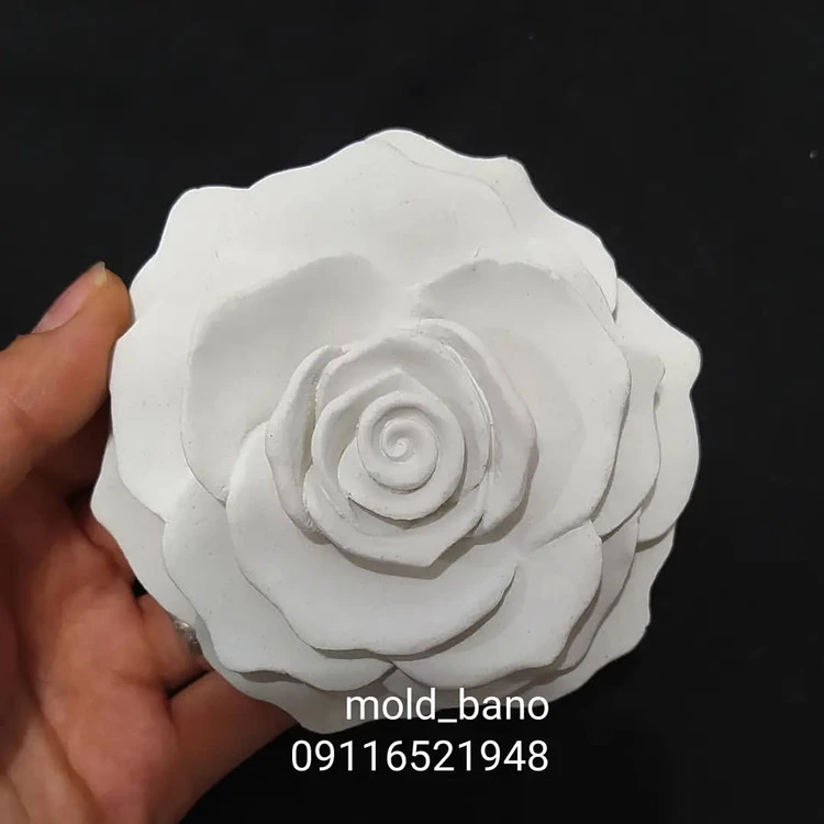 رز طبقاتی