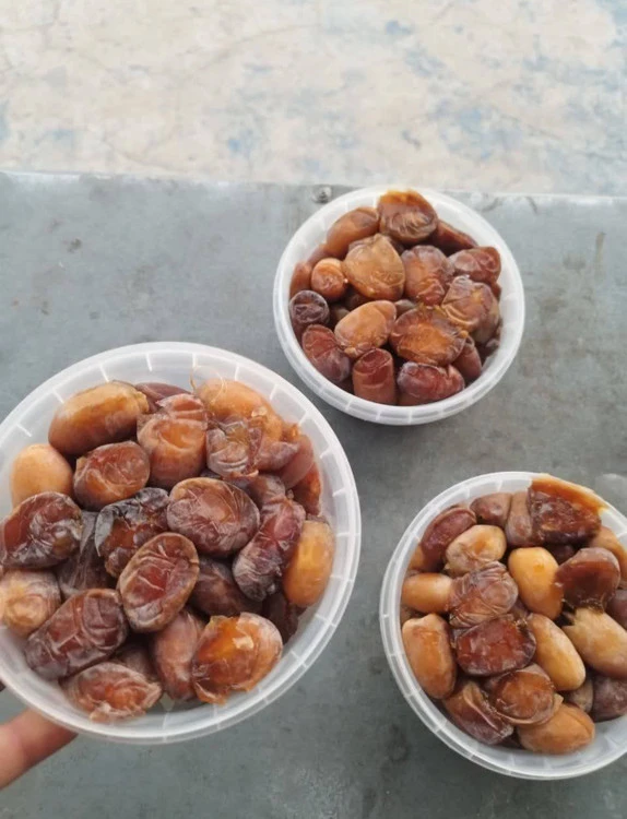 رطب کبکاب خشت