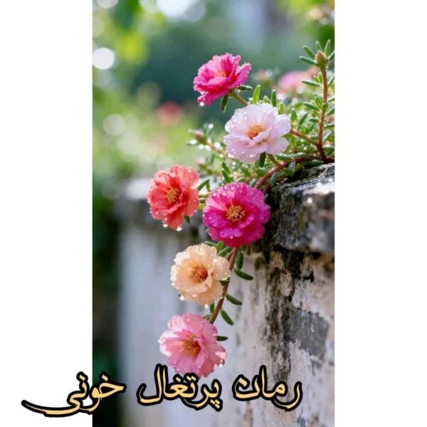 رمان مربای پرتغال اثر بهار محمدی