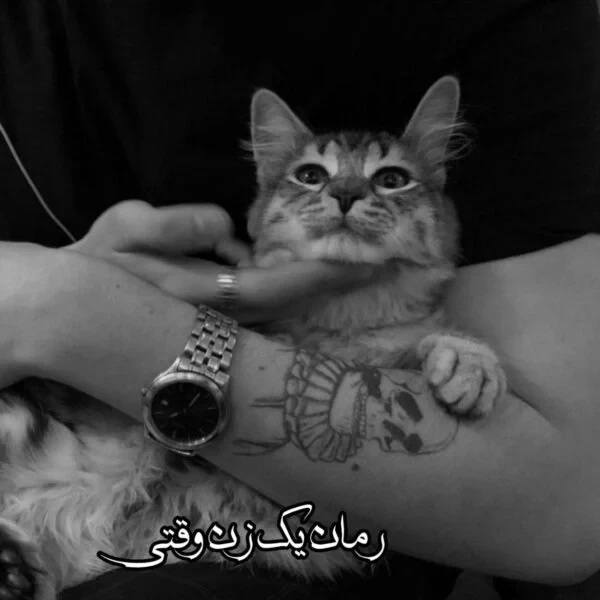 رمان یک زن وقتی اثر نیلوفر قائمی فر