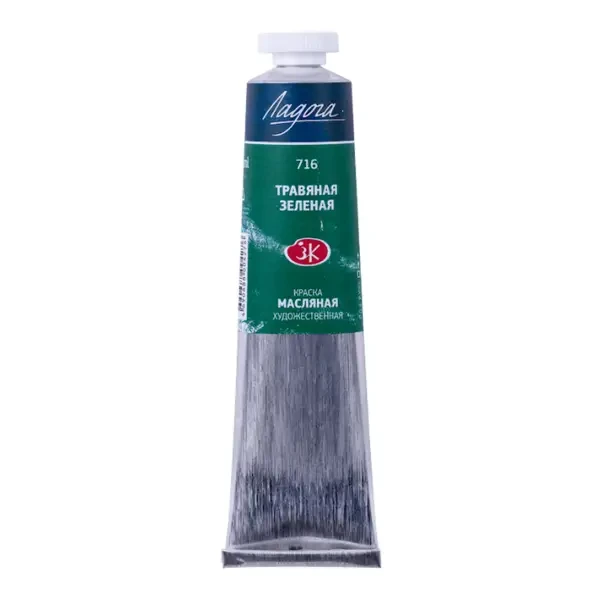 رنگ روغن سنت پترزبورگ (لادوگا) رنگ Sap green 716