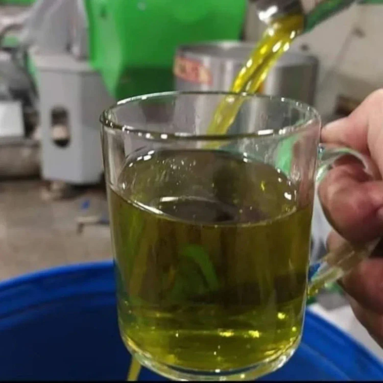 روغن زیتون بی بو با گالن 20لیتری