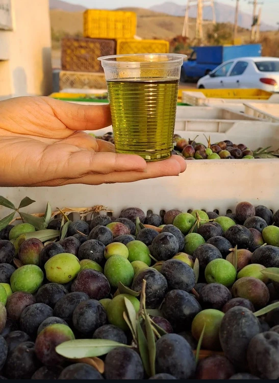 روغن زیتون فرابکر پرس گرم 10کیلویی