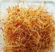 ریشه زعفران ۲۰ گرمی