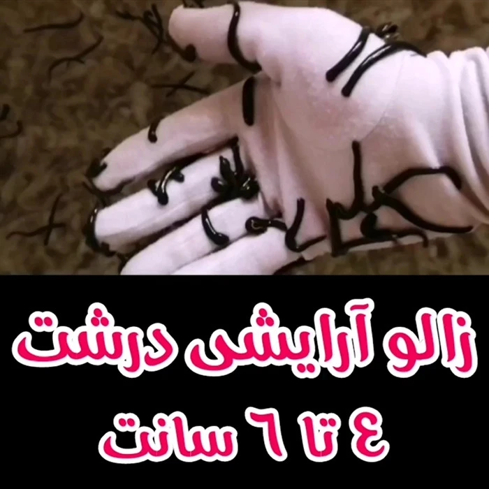 زالو آرایشی درشت 4تا6 سانت پکی