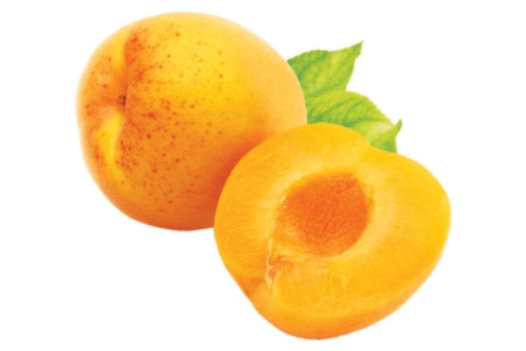 زردآلو سلطنتی