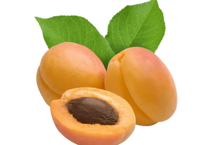 زردآلو عسگرآباد