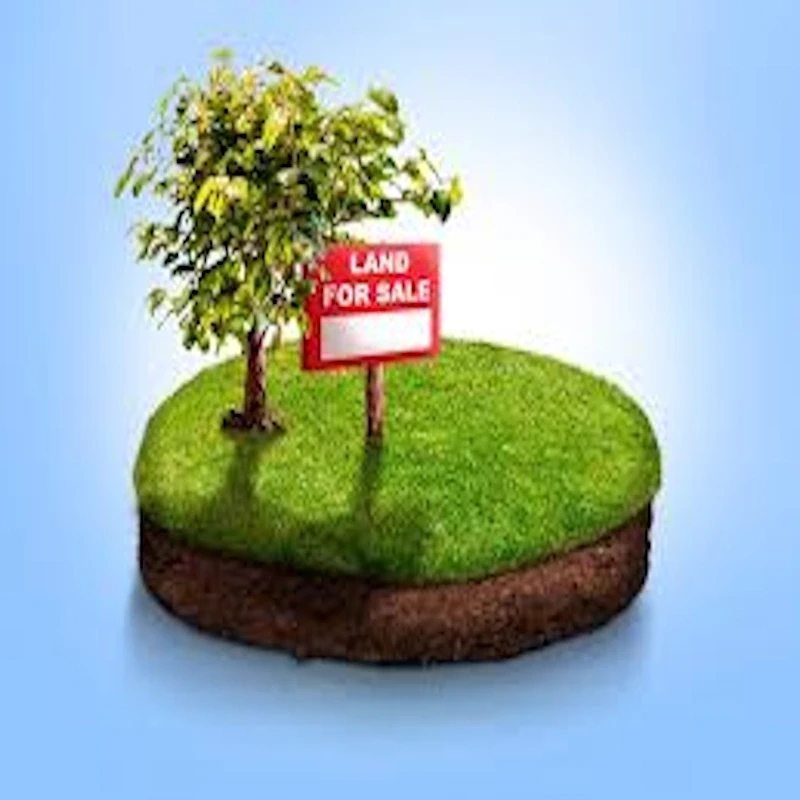 زمین مسکونی 320 متری صدرا البرز 7
