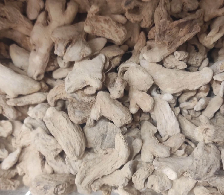 زنجبیل ناساب تازه ادویه معطر