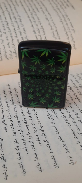 زیپو بنزینی طرح برگ سبز