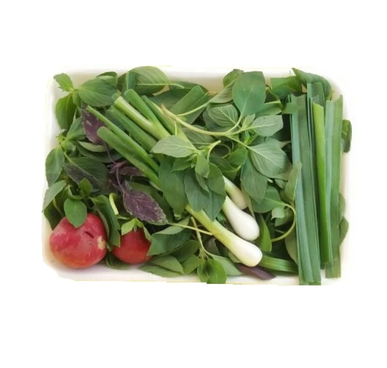 سبزی خوردن