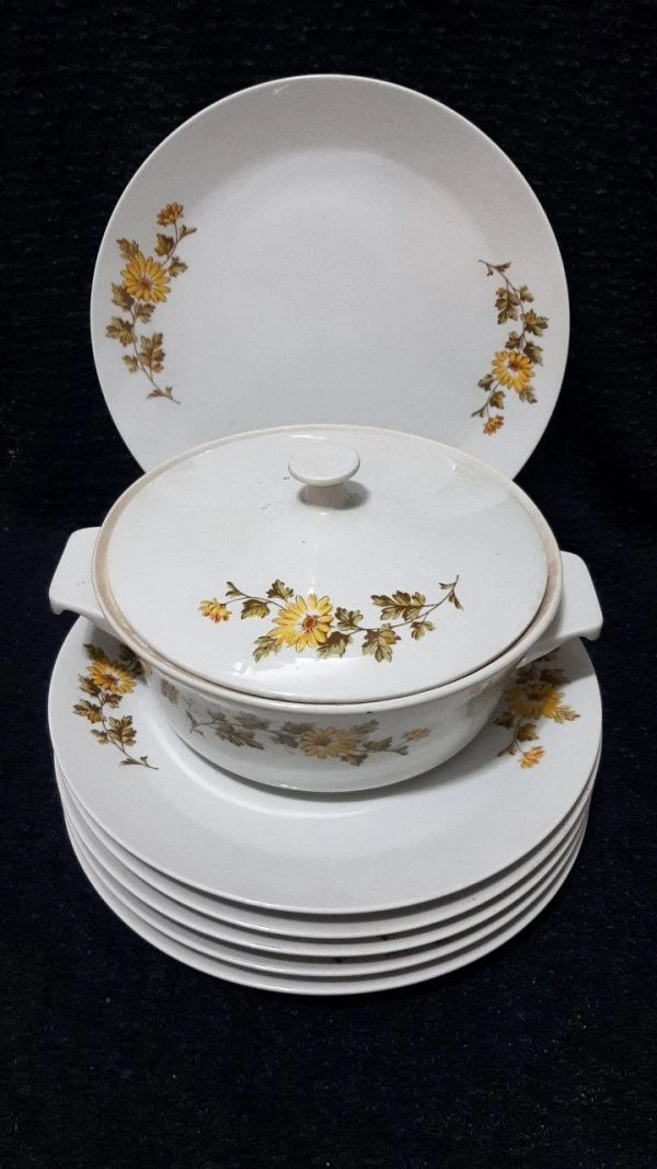 ست بشقاب و سوپ خوری گلدار قدیمی