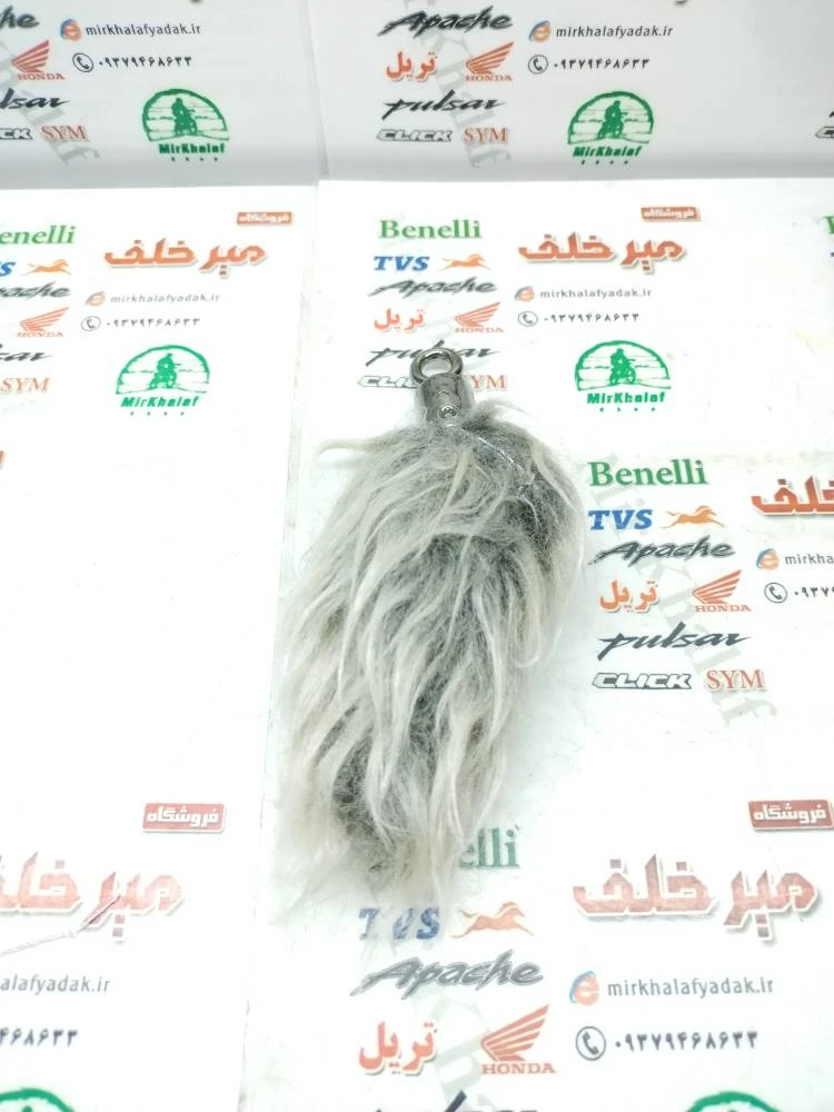 سرکلیدی دم روباهی کوتاه