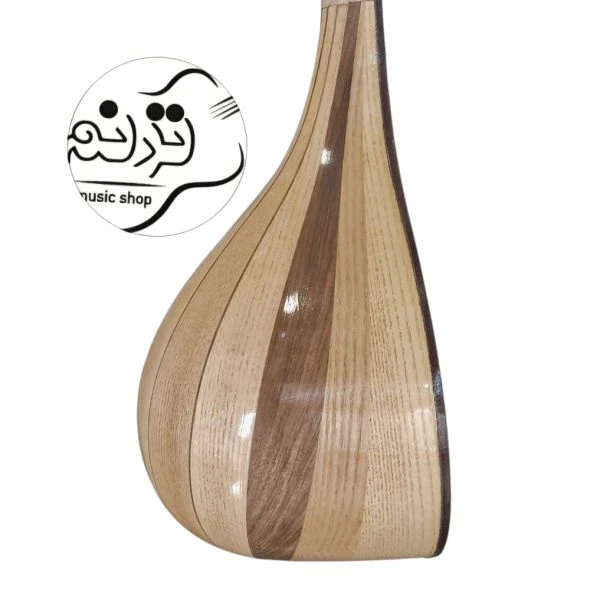 سه تار نوروزیان