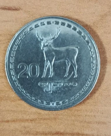 سکه 20 تتری گرجستان
