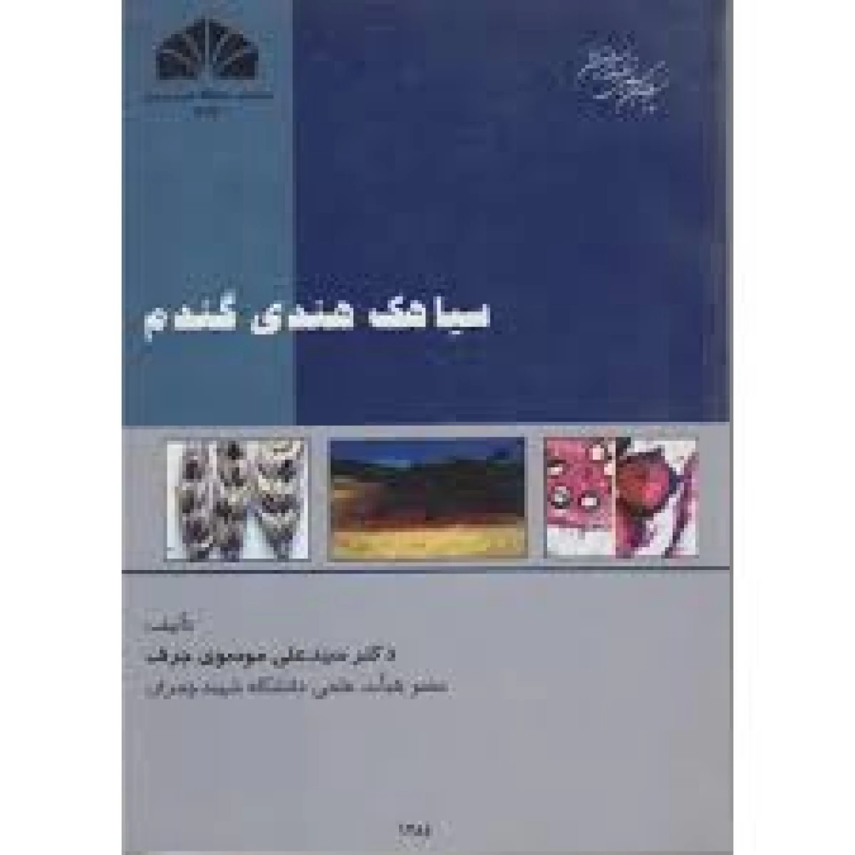 سیاهک هندی گندم / علی موسوی جرف / چمران اهواز