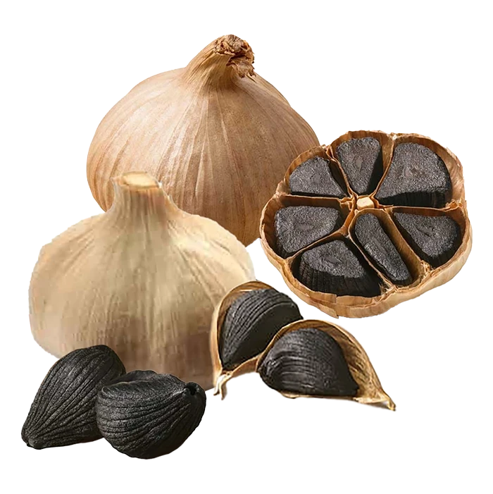 سیر سیاه اعلا 250 گرم ، سیرسیاه اعلا
