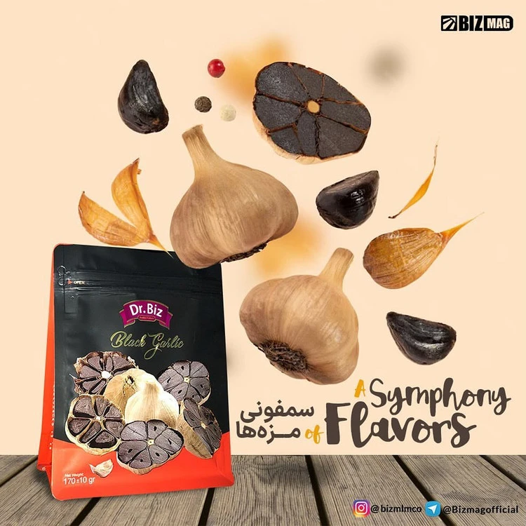سیر سیاه ۵۴۰