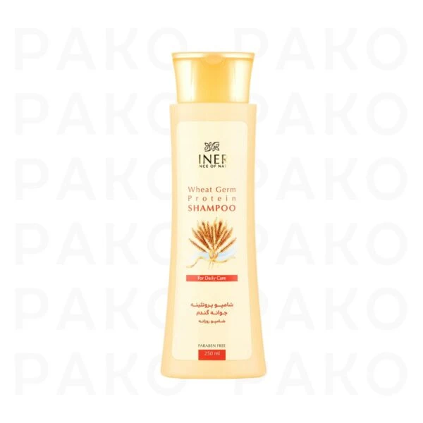 شامپو تقویت کننده مو جوانه گندم سینره مدل Wheat Germ cinere