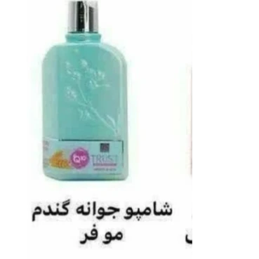 شامپو سر جوانه گندم و Q10 تراست 250 میلی لیتر