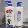 شامپو ضد شوره لایف بوی Lifebuoy مدل Anti Ketombe