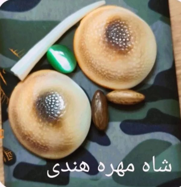 شاه مهره هندی
