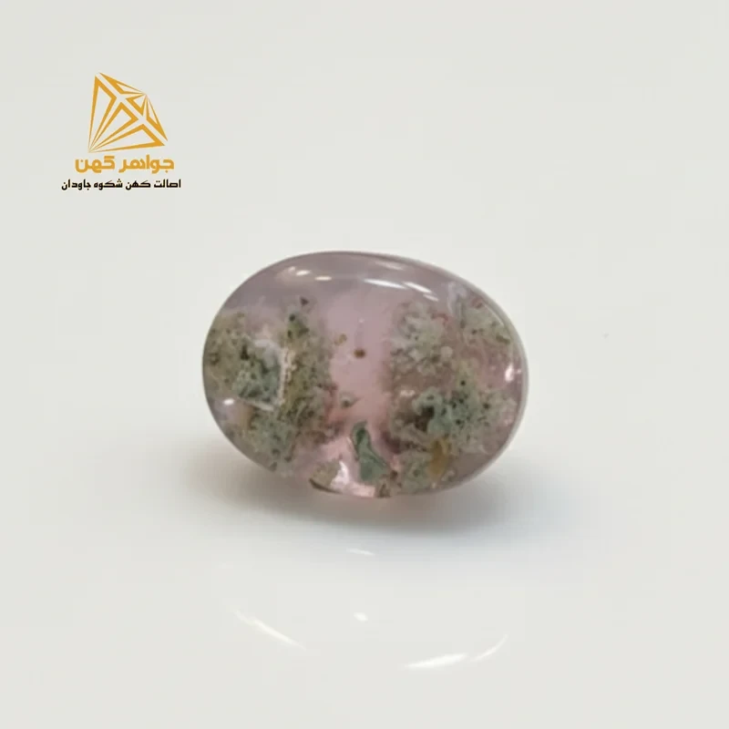 شجر بهاری (کد۷۹)