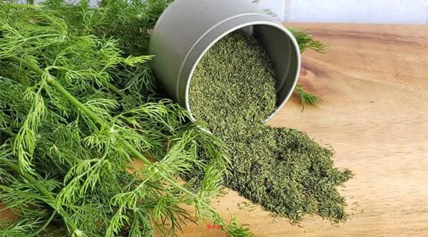 شوید خشک اعلا بدون چوب 100 گرمی