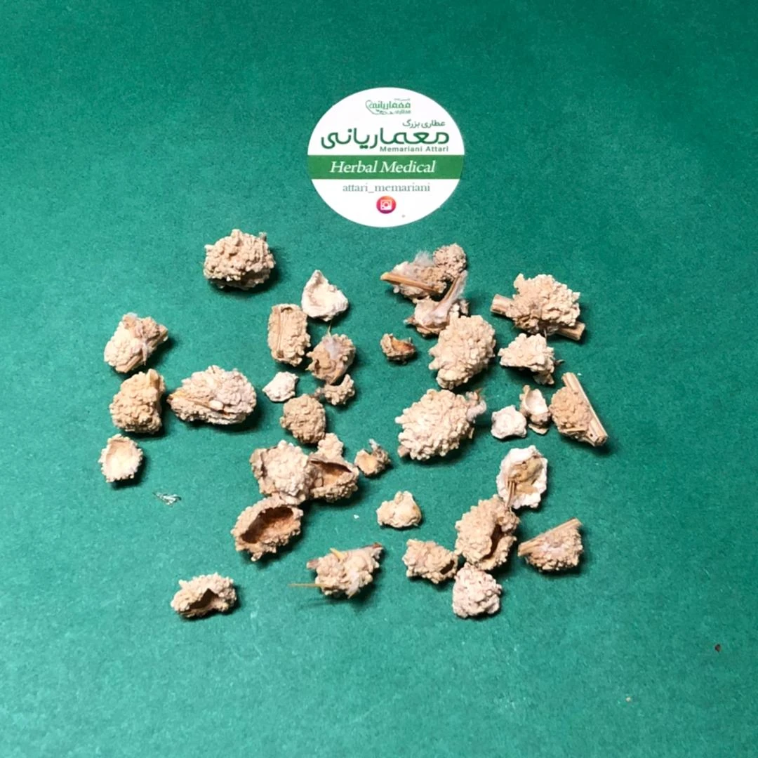 شکر تیغار مهشاد