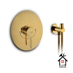 شیر توکار جزیره توالت آکا طلایی
