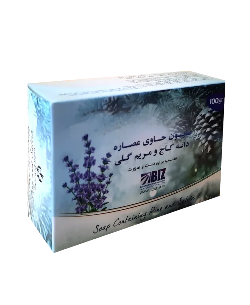 صابون دست و صورت دانه کاج و مریم گلی بیز 100 گرمی