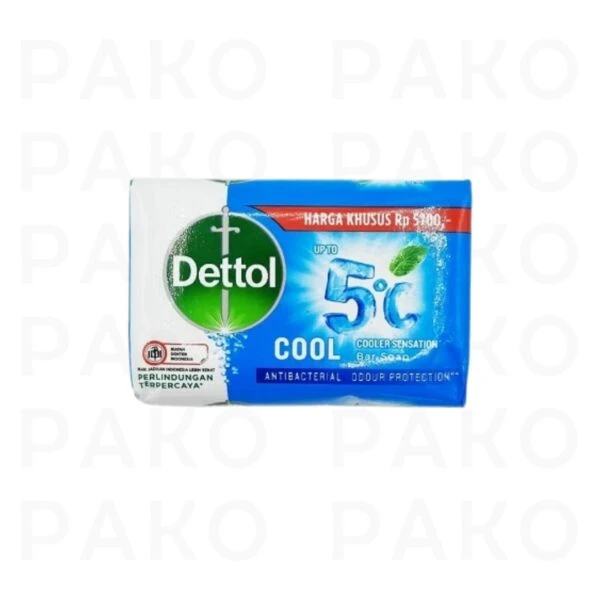 صابون ضد باکتری دتول مدل نعنا و اکالیپتوس وزن 100 گرم dettol